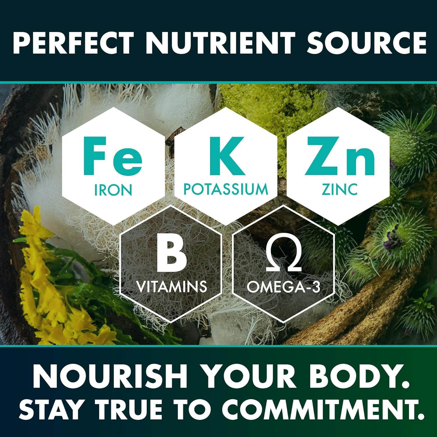 Seaweed Compound Vitamin Capsules - Ultim8 Designs 4 U